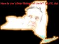NYSAFE vid