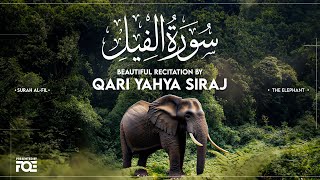 Beautiful Recitation of Surah Al Fil by Qari Yahya Siraj at FreeQuranEducation Centre