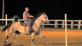 Bethel Road Saddle Club Fifty and Over Poles Donnie 130726 
