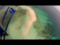 1 Day in Paradise -- Scuba Skydiving. Gulliver Page.