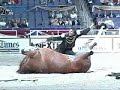 Funniest Horse Act Ever! Tommie Turvey and Pokerjoe!
