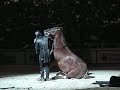 Funniest Horse Act Ever! Tommie Turvey and Pokerjoe!