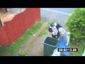 La vengeance du chat qui s etait fait jeter dans une poubelle par une mamy ! Fallait y penser lol