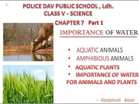 chapter 7 Importance of water 1