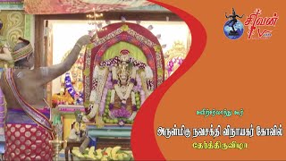 சுவிற்சர்லாந்து கூர் நவசக்தி விநாயகர் கோவில் தேர்த்திருவிழா