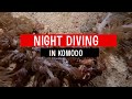 Night Diving in Komodo | 