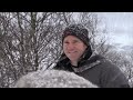 Terrifying Wolf Bites Steve - Deadly 60 - Series 2 - BBC