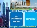 4.1. La Commissione europea.wmv