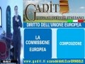 4.1. La Commissione europea.wmv