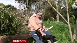 O presidente mais pobre do mundo