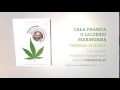 Okadka filmu - Caa prawda o leczeniu marihuan medyczn. Rozmawia Dorota Mirska-Krlikowska 