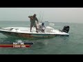Fishing the Flats Boca Grande Hammer Head