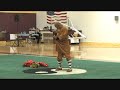 Shao Lin Master 2009 USAWKF Wushu Team Trials Master Demo Shaolin KungFu
