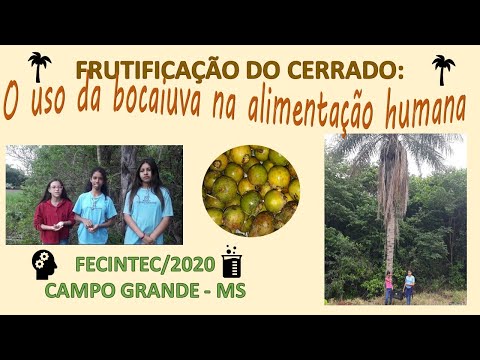 Frutificação do Cerrado: Uso da Bocaiúva ( Acrocomia Aculeata) na Alimentação Humana