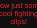 TaeKwonDo Knockouts