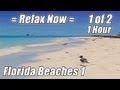 1 HOUR OF RELAXING OCEAN WAVES #1 Soothing Wave Sounds Relax Beach Hypnosis Meditation study video