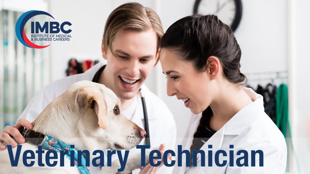 Veterinary Technician (A.S.T.) |