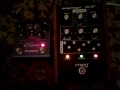 Moog moogerfooger MF-105 MuRF (with Strymon El Capistan)