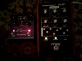 Moog moogerfooger MF-105 MuRF (with Strymon El Capistan)