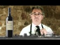 Catas Segura Viudas: Viña Heredad Crianza