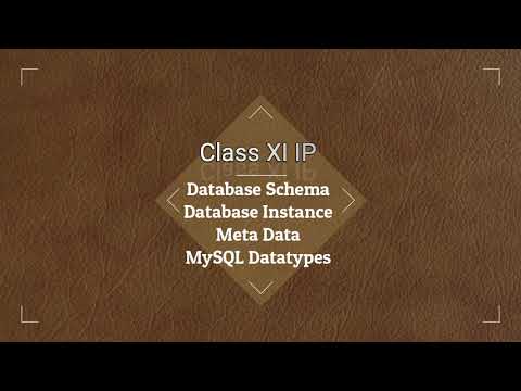 Class XI IP (DBMS MetaData MySQL Datatypes)