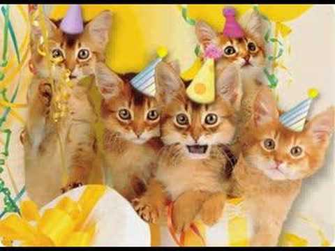 happy birthday cat picture. Happy Birthday Kittens