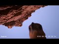 Eagle steals camera near crocodile meat trap
