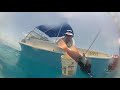 Spearfishing Poisonous Lionfish - Bahamas Part 1 (Ted's HoldOver)
