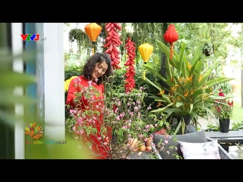 Góc Tết trong nhà
