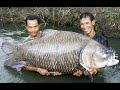Worlds largest fish!!!