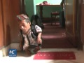 World's shortest man dies at 75
