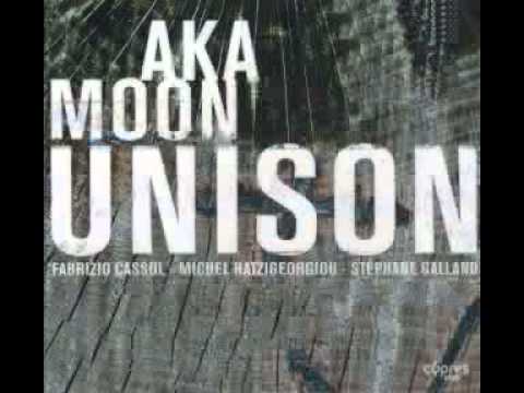 Aka Moon / Stéhane Galland * Steste / Lignum sycamore drums