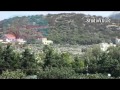 StudioVGGR.Φωτιά Πύρινη Γλώσσα στην Αν.Αττική.wmv