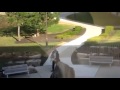 Angry Bird Attacks Man Lolololo