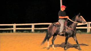 Bethel Road Saddle Club Adult Barrel Ride Like This Jesse 130726 