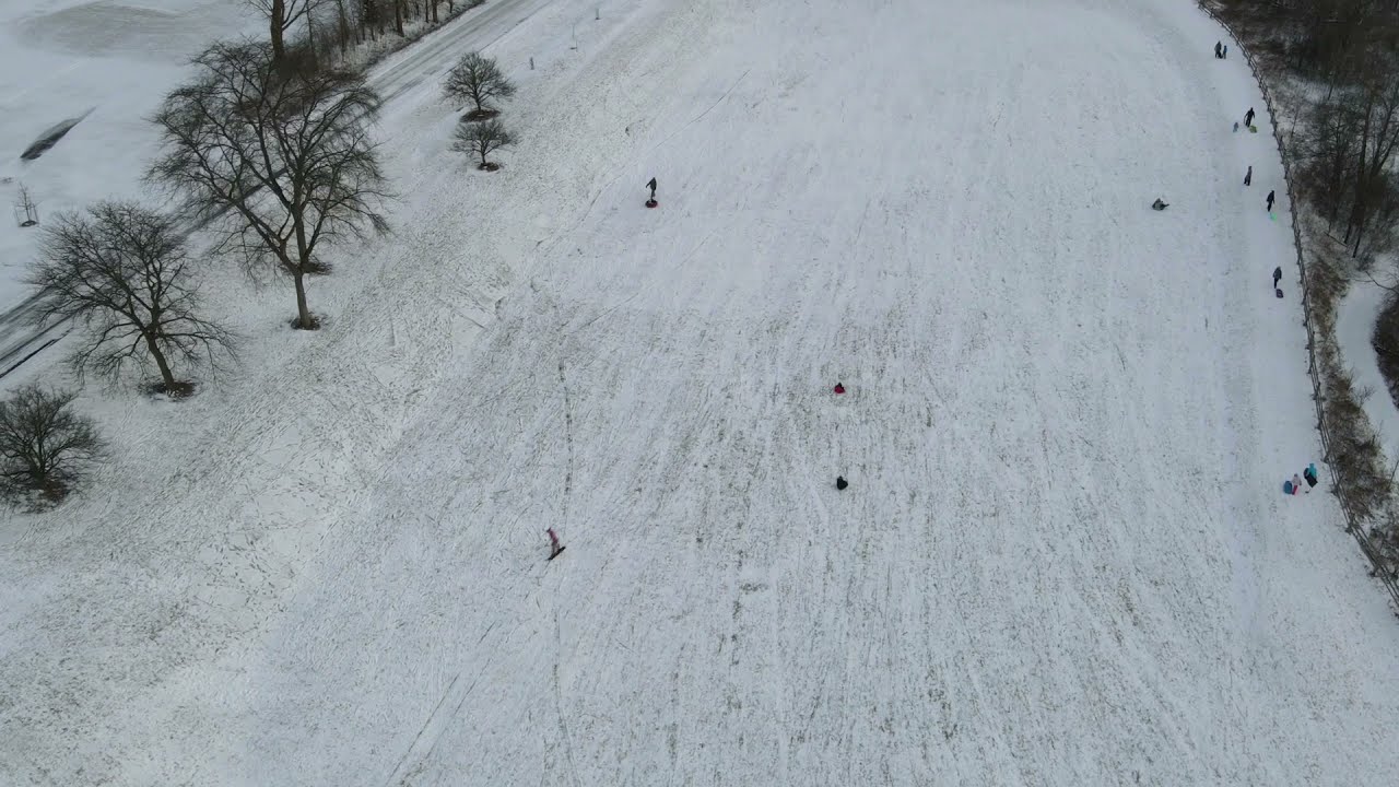 Geese on Ice