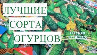Вязание на спицами женская туника 535