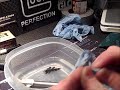 Glock 35 Project: Barrel Polishing