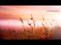Background Music Instrumentals - relaxdaily - B-Sides N°1