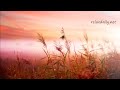 Background Music Instrumentals - relaxdaily - B-Sides N°1