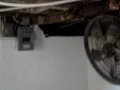 Basement grow room design