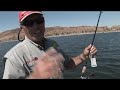 Bill Siemantel coaching Roland Martin on the fine art of swimbait fishing
