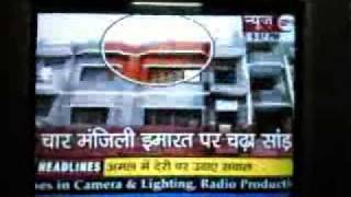 Funny Breaking News in India - Saand Climbed onto the 4th Floor - YouTube