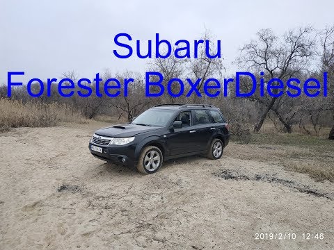 Video 255: Краткий обзор Subaru Forester 2010 2.0 BoxerDiesel EE20Z