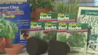 Chia Gourmet Herb Garden w/ 3 Chia Growing Sponges & Saucers Grows 6 Herbs New