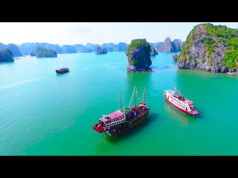 Sunlight cruise lan ha bay