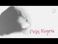 Okładka filmu - Wszystko albo nic. Jak Pola Negri - zwiastun