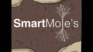 Introducing SmartMole's Family