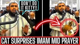 CATS REACTS TO IMAM WHILE RECITING QURAN