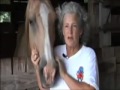 UK tourist charged on multiple counts of bestiality.